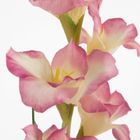 Eurofirany, kwiat Natu, 85 cm, fioletowy