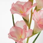 Eurofirany, kwiat Natu, 85 cm, jasnoróżowy