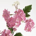 Eurofirany, kwiat Natu, 90 cm, różowy