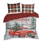 Eurofirany, świąteczny komplet pościeli, Xmas, 160-200 cm, czerwony
