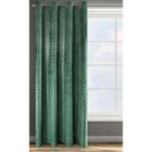 Eurofirany, zasłona zaciemniająca gotowa, D91 Moly, 140-250 cm, zielony