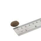 Fish4dogs, Finest Salmon, Adult, karma sucha dla psów, 12 kg