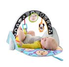 Fisher-Price, Przenośna mata sensoryczna, zabawka niemowlęca