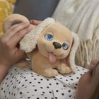 FurReal Friends, Piesek, pluszowa zabawka interaktywna