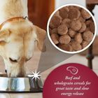 Gilpa, Arkwright, wołowina, sucha karma dla psów, 15 kg