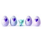 Hatchimals, 4 jajka z figurkami i niespodzianką