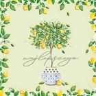 Henry, karnet z kopertą, 15-15 cm, Drzewko Cytryn