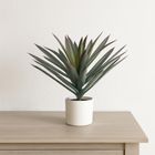 Home Styling Collection, Orno, sztuczna roślina dekoracyjna, agawa w białej doniczce, 40-50 cm