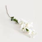 Homla, Azalea, gałązka sztuczna, azalia japońska, biała, 112 cm