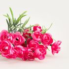 Homla, Camelia, bukiet kwiatów, kamelia różowa, 30 cm