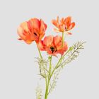 Homla, Emra, gałązka sztuczna maki pomarańczowe, 76 cm