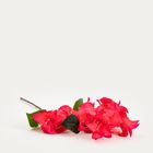 Homla, Gwilla, gałązka sztuczna, bugenwila malinowa, 95 cm