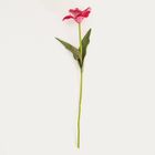 Homla, Hubis, gałązka sztuczna, hibiskus różowy, 45 cm