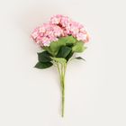 Homla, Hyndra, gałązka sztuczna, hortensja różowa, 51 cm