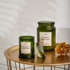 Homla, Mael, świeca zapachowa, Bergamot & Cedarwood, 140 g