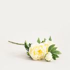 Homla, Paeonia, gałązka sztuczna, piwonie białe, 81 cm