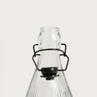 Homla, Raven, butelka ryflowana z klipsem, 1l