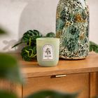 Homla, Wellness, świeca zapachowa, Restore, 160g