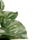 Ibergarden, sztuczna roślina, philodendron, 40 cm