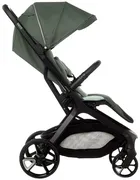 Jane, Akira, wózek spacerowy, botanic