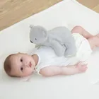 Kaloo, Petit Songe, Koala, przytulanka obciążeniowa, 28 cm