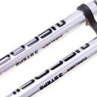 Kijki do nordic walking, srebrne
