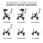 Kinderkraft, Aston, rowerek trójkołowy, Malachite Grey