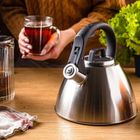 Klausberg, czajnik stalowy z gwizdkiem, 2,5l, kb-7951