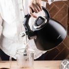 Klausberg, czajnik stalowy z gwizdkiem, 2,5l, kb-7952