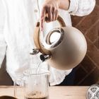 Klausberg, czajnik stalowy z gwizdkiem, beżowy mat, 3l, kb-7956