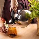 Klausberg, czajnik z gwizdkiem, stalowy, 2,5l, KB-7910