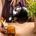 Klausberg, czajnik z gwizdkiem, stalowy, 2,5l, KB-7911