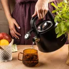 Klausberg, czajnik z gwizdkiem, stalowy, 2,5l, KB-7915