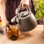 Klausberg, czajnik z gwizdkiem, stalowy, 2,5l, KB-7916