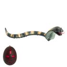 Kobra, wąż zdalnie sterowany