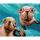 Koh-i-Noor, malowanie po numerach, Foki, 40-50 cm