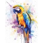 Koh-i-Noor, malowanie po numerach, Papuga, 40-50 cm