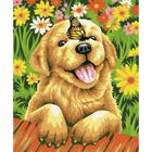 Koh-i-Noor, malowanie po numerach, podobrazie Piesek z motylem, 40-50 cm