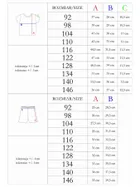 Komplet chłopięcy, Bluzka z krótkim rękawem, Szorty, mix, Nicol