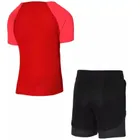 Komplet chłopięcy, T-shirt, Szorty, mix, Nike Academy Pro Training Kit
