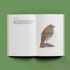 Kroniki ptaków z podwórka