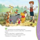 Kubuś i Przyjaciele. Opowiastki ze Stuwiekowego Lasu. Kubusiowa zabawa w chowanego