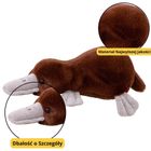 Lean Toys, dziobak, maskotka, brązowy, 32 cm