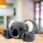 Lean Toys, leżący miś koala, maskotka, szary, 30 cm