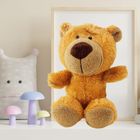 Lean Toys, miś z przyssawką, maskotka, brązowy, 23-12 cm