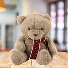 Lean Toys, miś z szalikiem, maskotka, jasnobrązowy, 45 cm