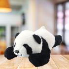 Lean Toys, panda, leżąca maskotka, czarno-biała, 30 cm