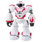 Lean Toys, robot interaktywny, zdalnie sterowany, 16 funkcji