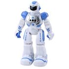 Lean Toys, robot interaktywny, zdalnie sterowany