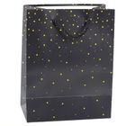 Lean Toys, torba prezentowa ze złotymi kropkami, 23-18-10,5 cm, 1 szt.